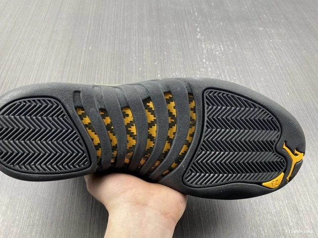 Taxi Jordan CT8013-071 12 Black Air 0813